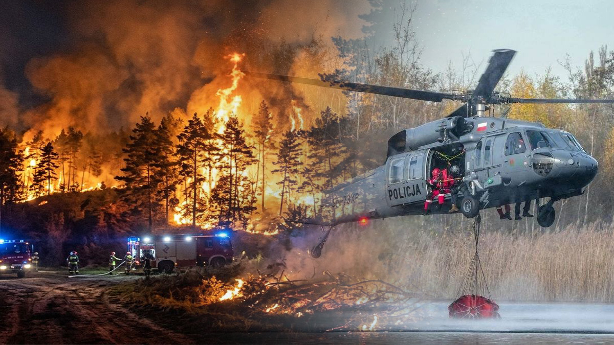 pożar lasu Kozaki – Pożar lasu Kozaki: 400 strażaków walczy z ogniem, zginął pilot Dromadera